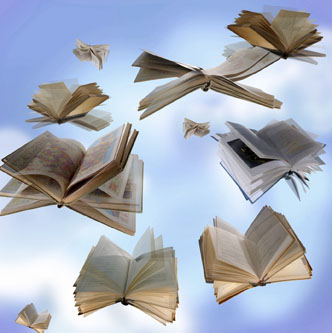 flying books Fly High books